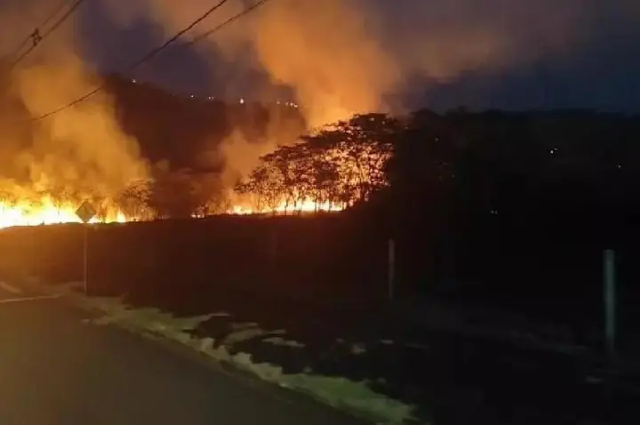 Guaíra - Indígenas invadem propriedade e provocam incêndio em área de preservação