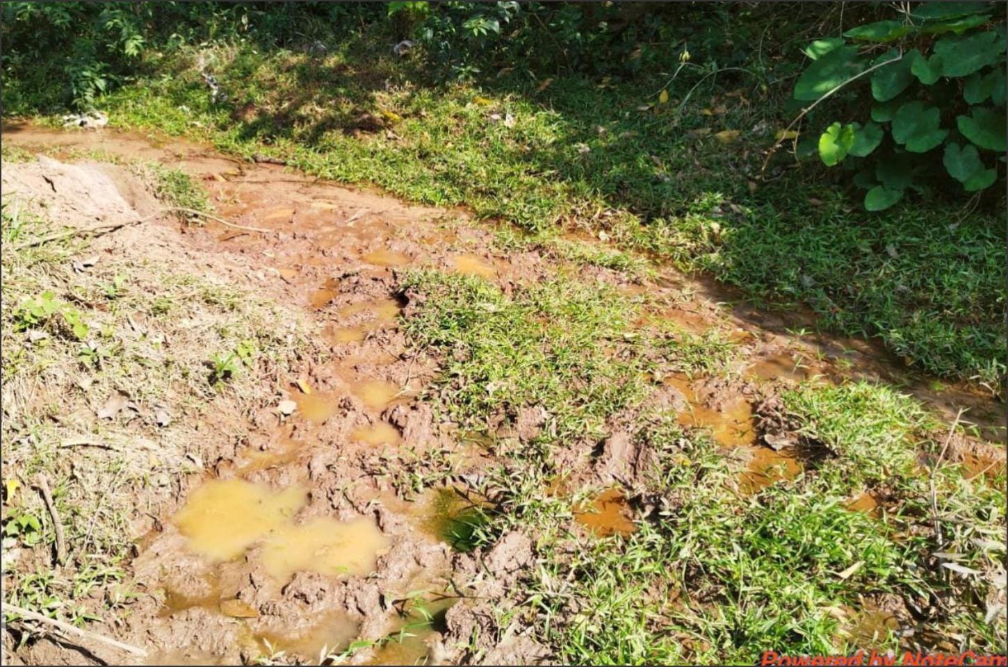 Francisco Alves - Polícia Ambiental aplica multa de R$ 10 mil por dano em área de preservação