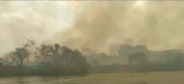 Fumaça na região não tem relação com incêndio na mata do Exército, afirma Corpo de Bombeiros